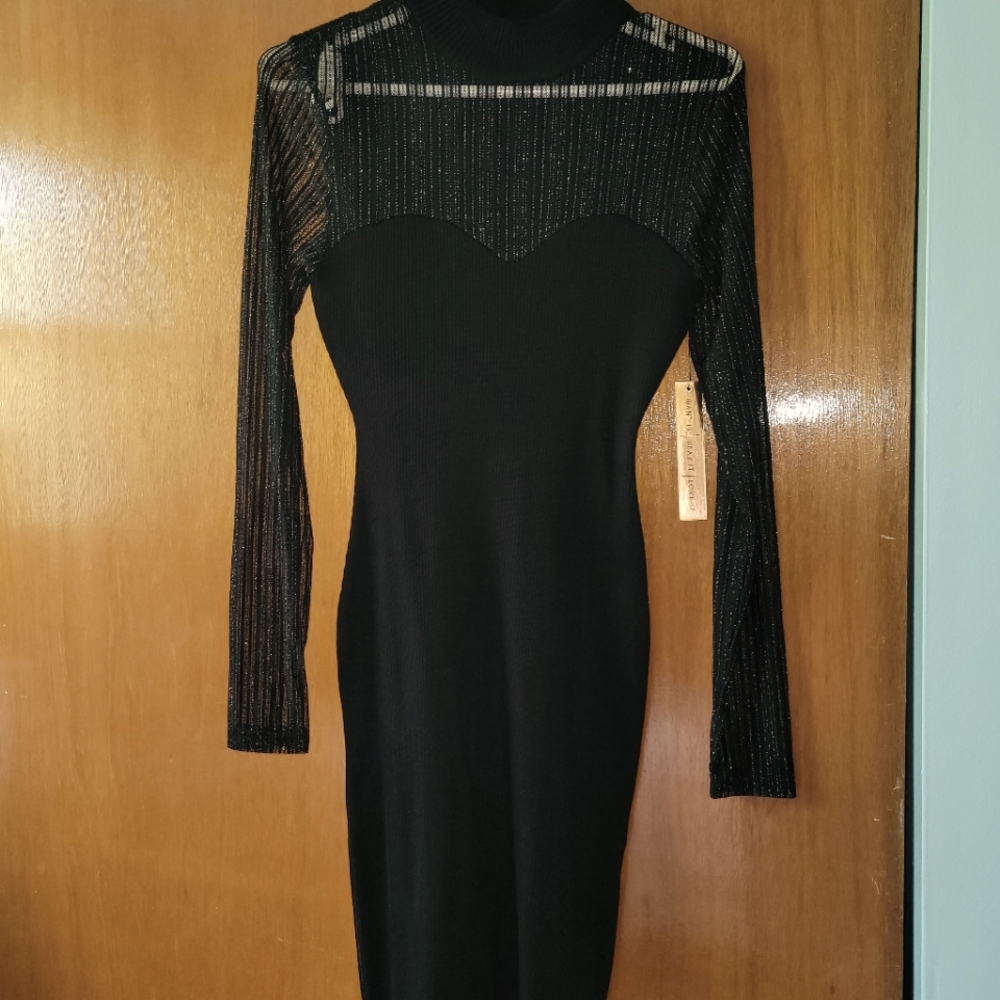Almost Famous black and silver dress.